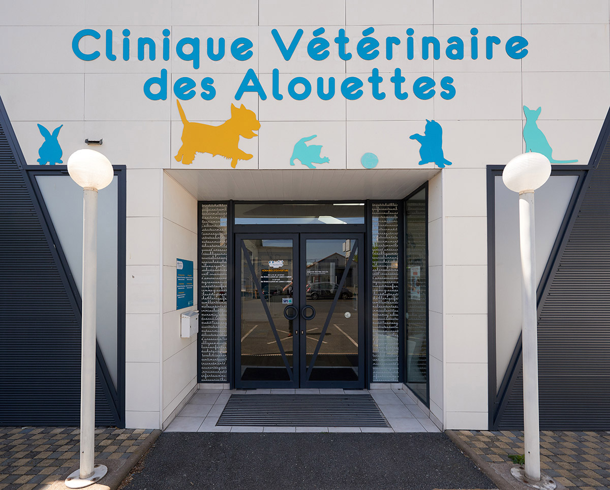 Clinique vétérinaire, Cholet